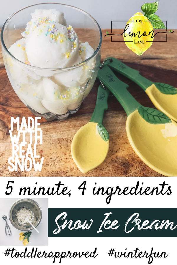 Easy 4 Ingredient Vanilla Snow Cream