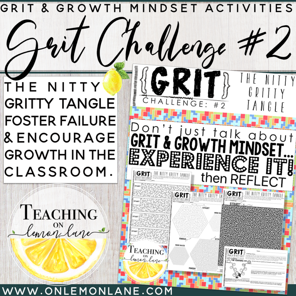 Grit And Growth Mindset Challenge / Application / Reflection Activity 2