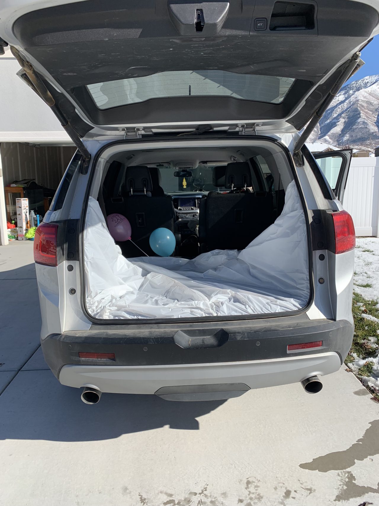 Frozen Themed Trunk or Treat