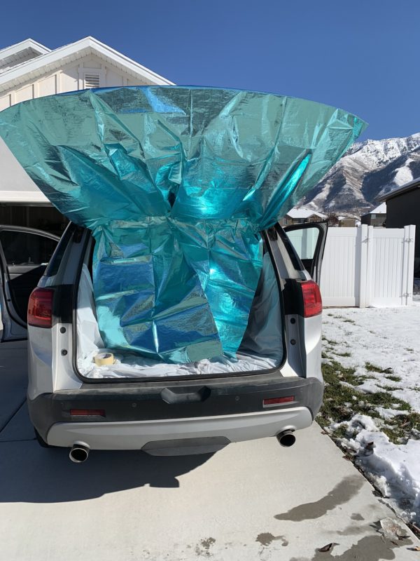 Frozen Themed Trunk or Treat