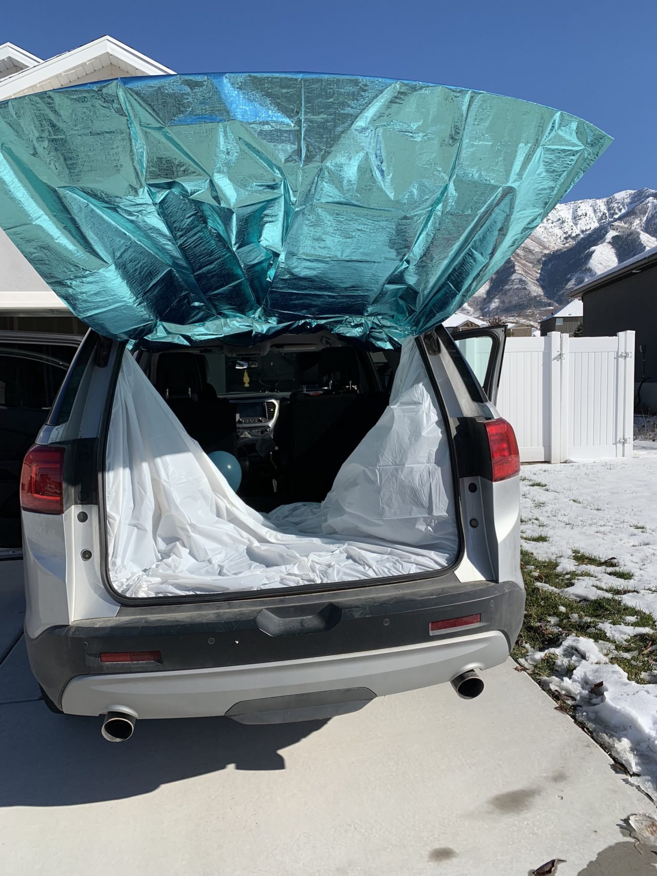 Frozen Themed Trunk or Treat